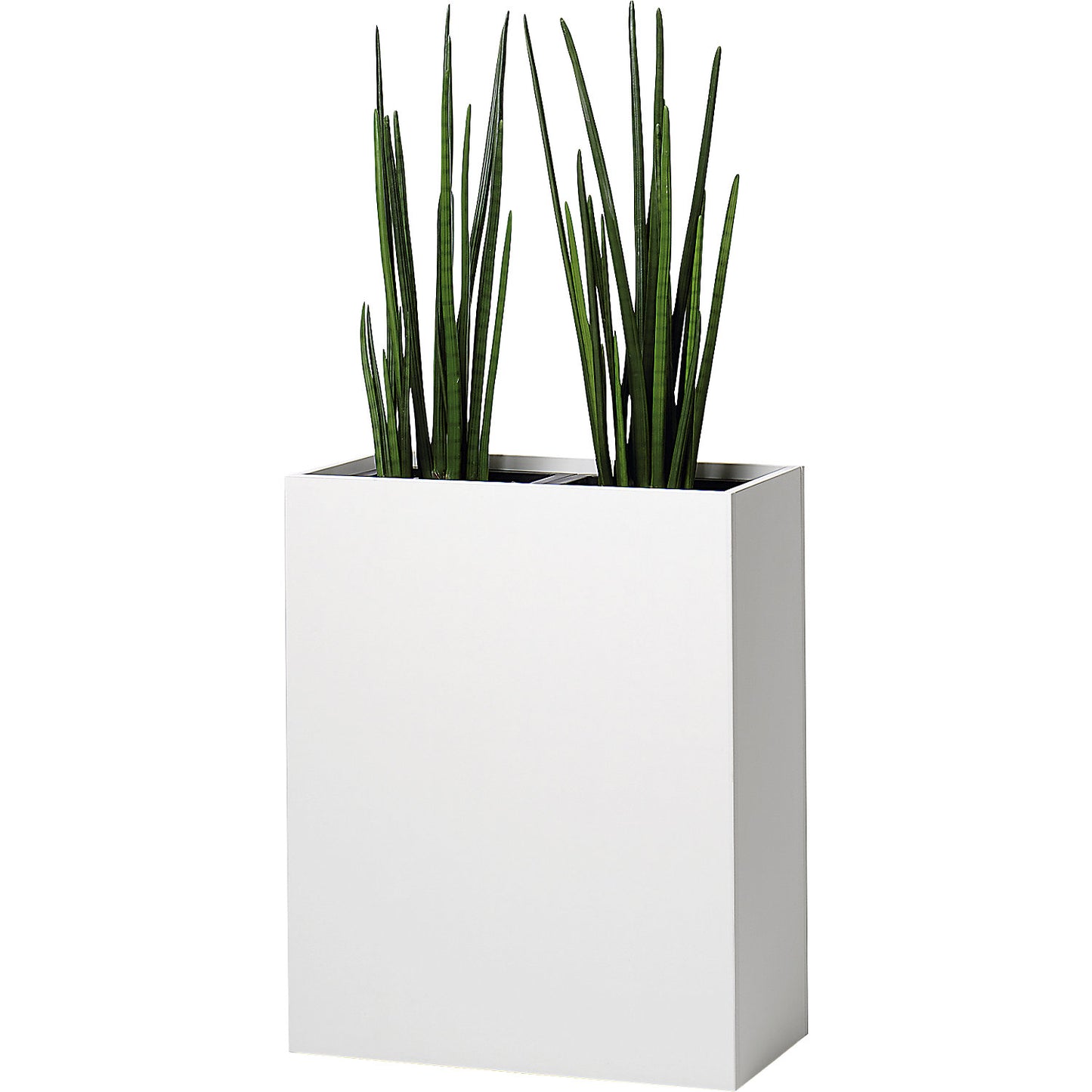 Plant pot, hip height, for 2 plants, maple finish.
