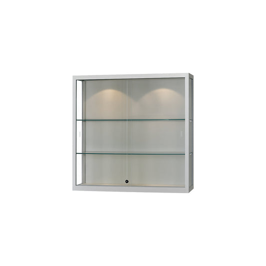 Wall mounted glass cabinet, LED lighting, WxDxH 1000 x 300 x 1000 mm, 2 x 7 W, lamp head Ø 50 mm.