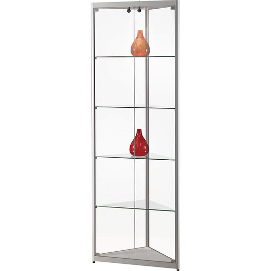Glass cabinet with LED ceiling spotlight, 1 x 5 W, height 2000 mm, WxD 500 x 500 mm, glass corner cabinet.