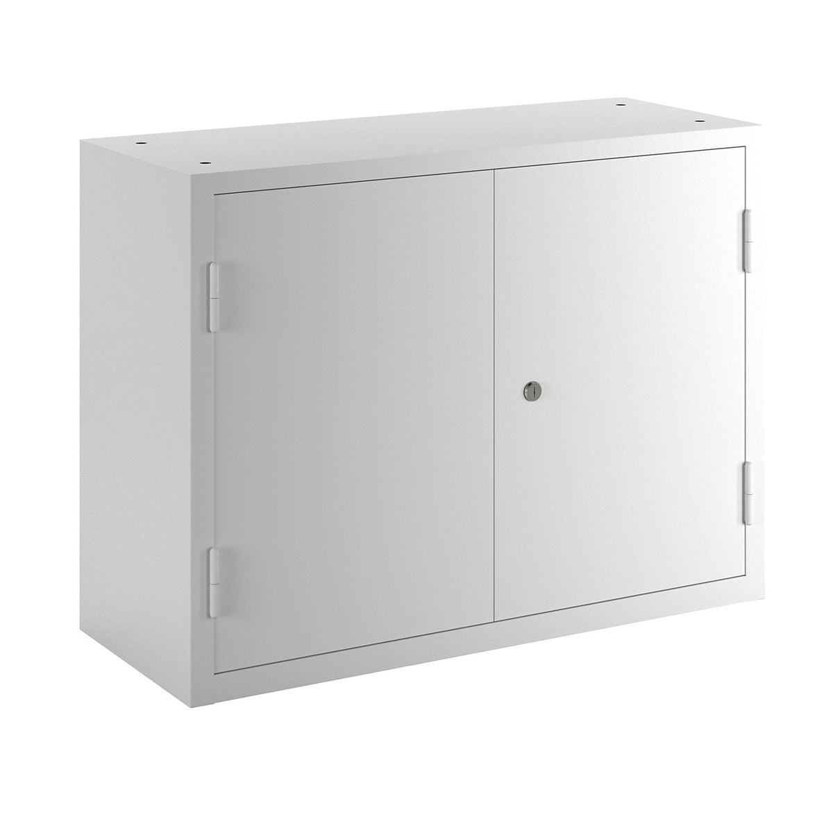 Wall mounted cupboard for the workshop, HxWxD 600 x 800 x 320 mm, solid panel doors, light grey RAL 7035.