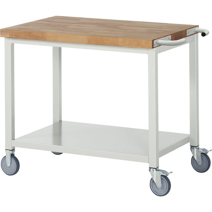 Series 8000 mobile workbench, frame system, 1 shelf, WxD 1000 x 700 mm.