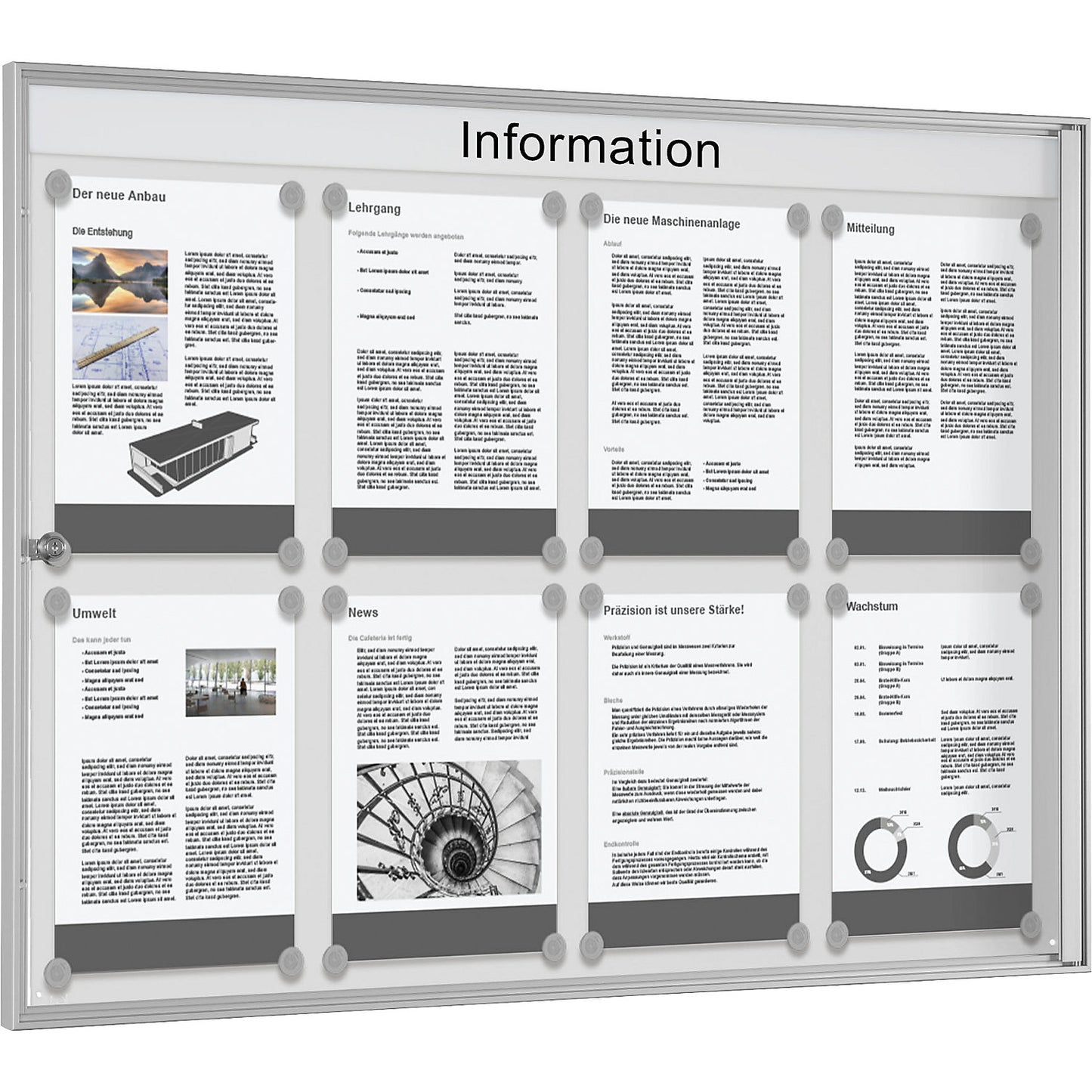 Budget display case, grey white, landscape format, for 8 x A4.