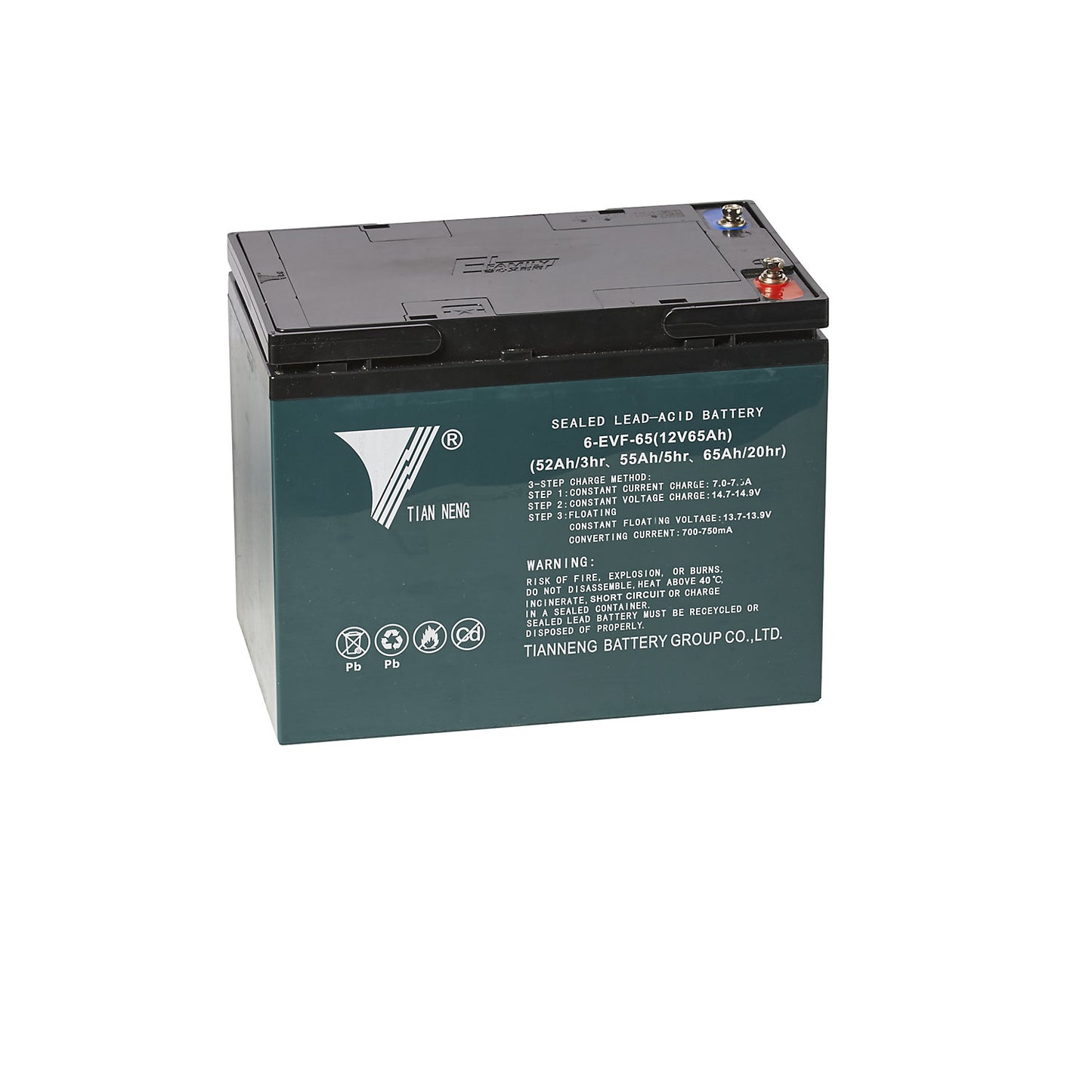 Battery, for ESGH 1001, 12 V.