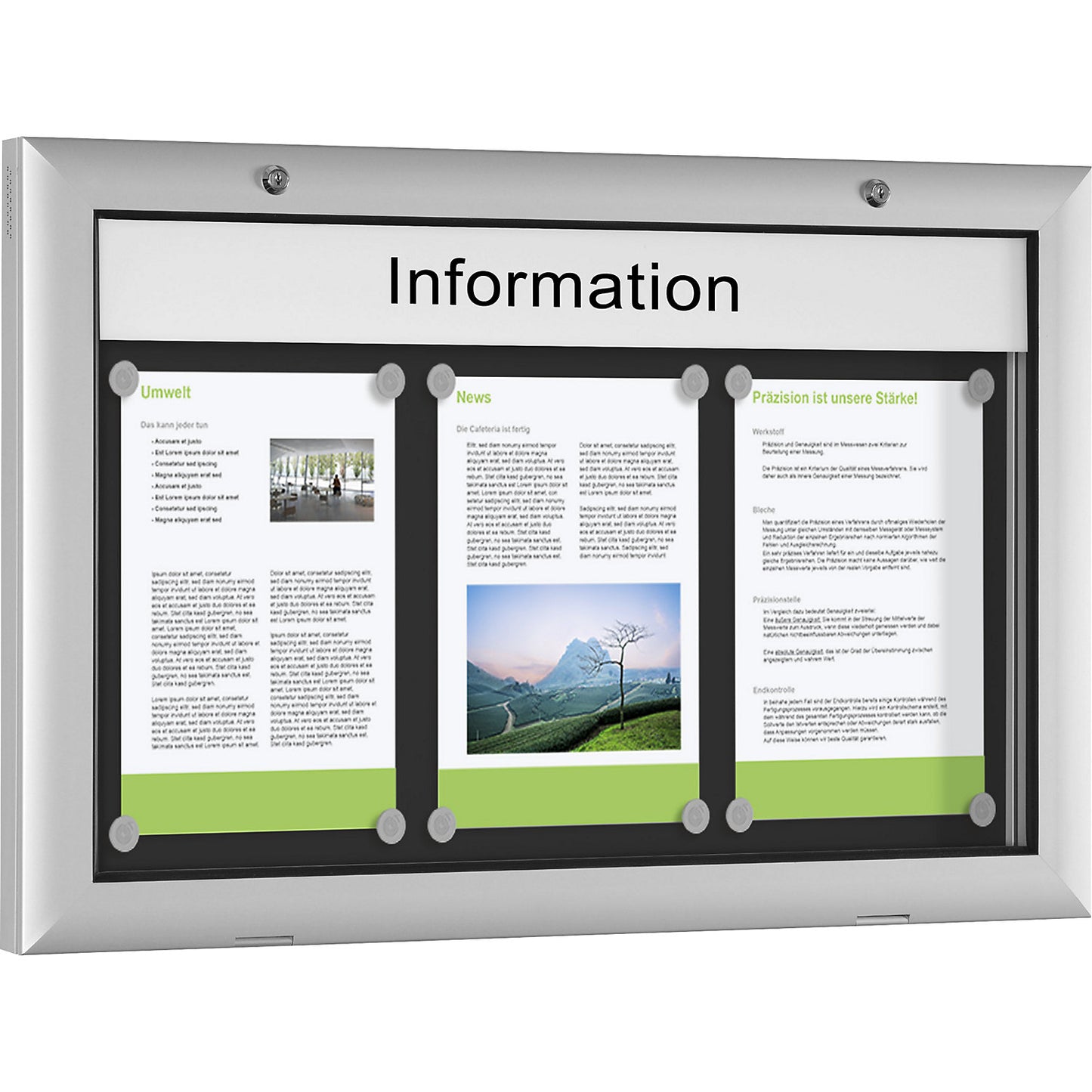 Display case for indoor and outdoor use, door opens downwards 180°, for A2, rear panel charcoal RAL 7016.