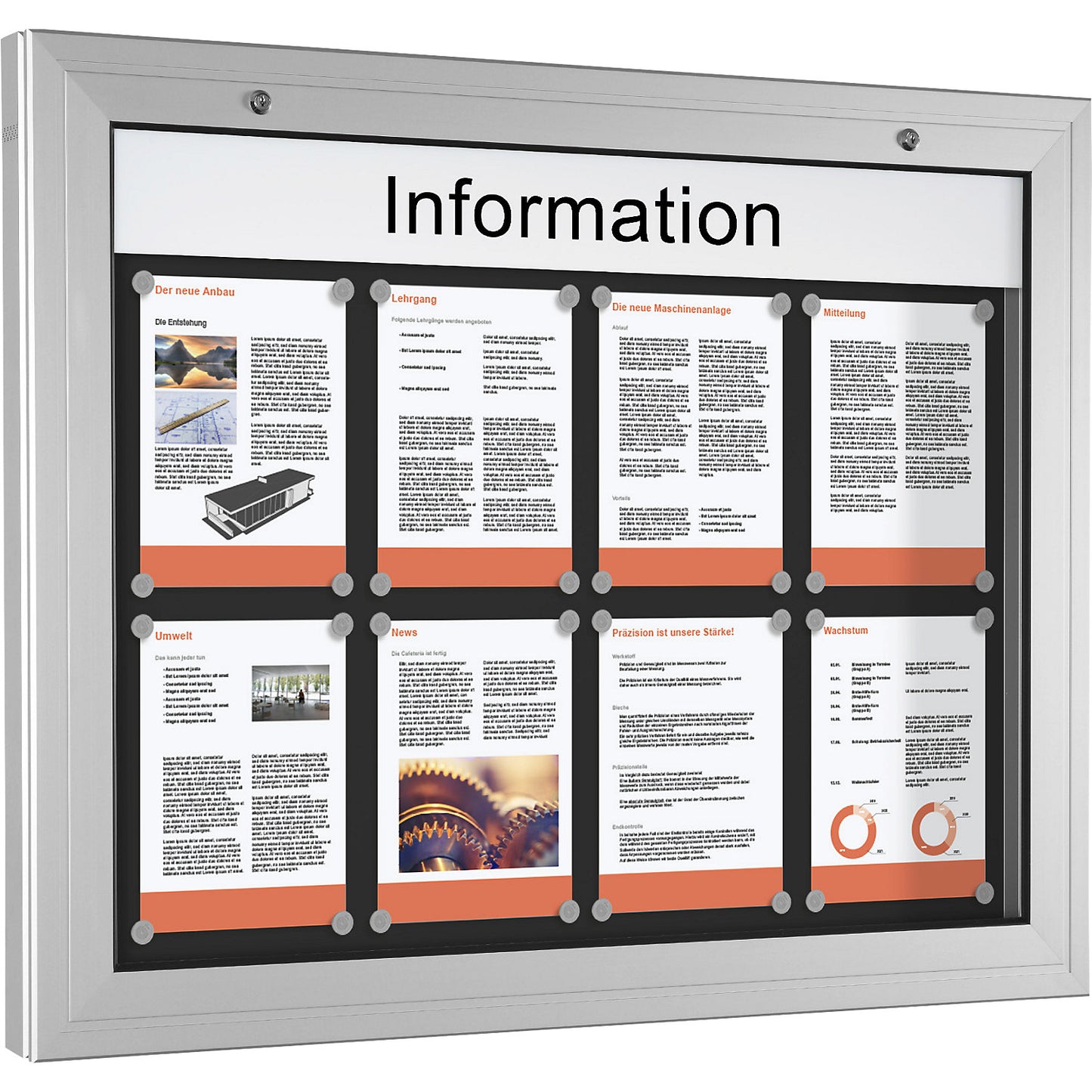 Display case, door opens downwards 180°, for A1.