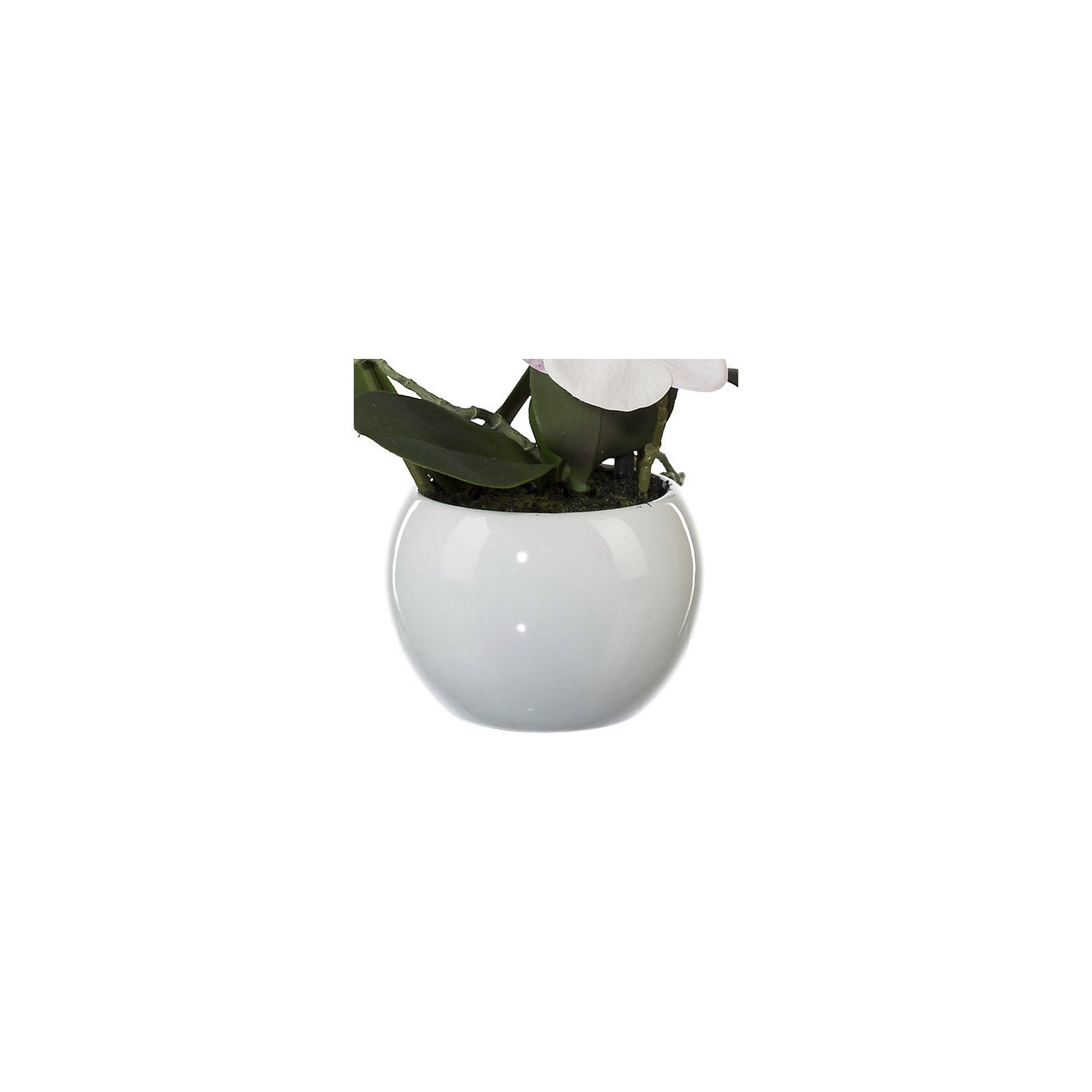 Moth orchid, height 420 mm, in a ceramic pot, pink flowers, 3D print.