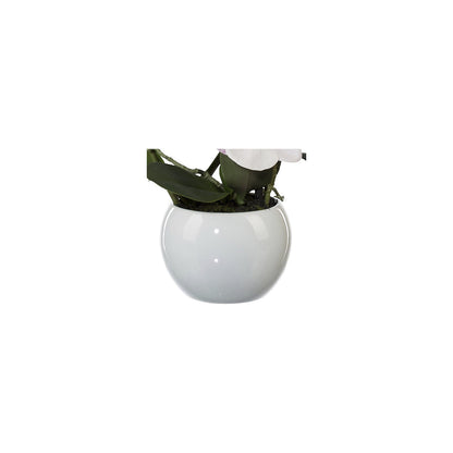 Moth orchid, height 420 mm, in a ceramic pot, pink flowers, 3D print.