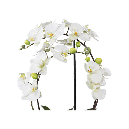 Moth orchid, height 520 mm, in a ceramic pot, white flowers, 3D print.