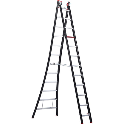 NEVADA multi purpose ladder, 2-part, black, 2 x 12 rungs.