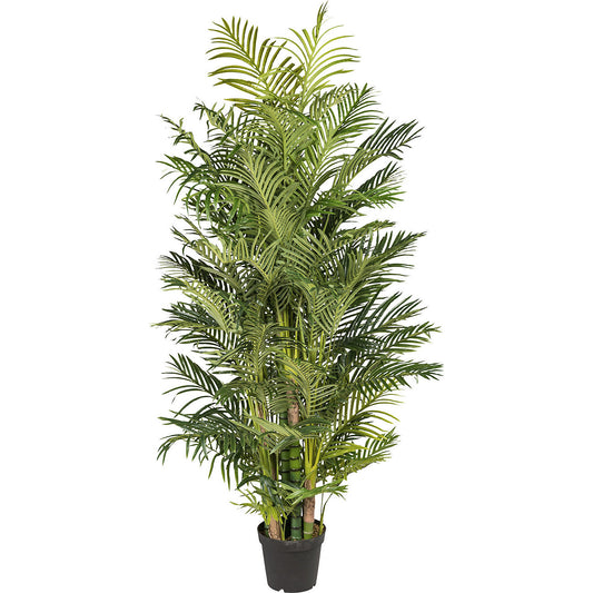 Areca palm, real touch, in a plastic pot, height 2200 mm.
