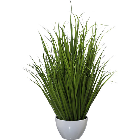 Chinese silver grass, in a plastic bowl, height 960 mm.
