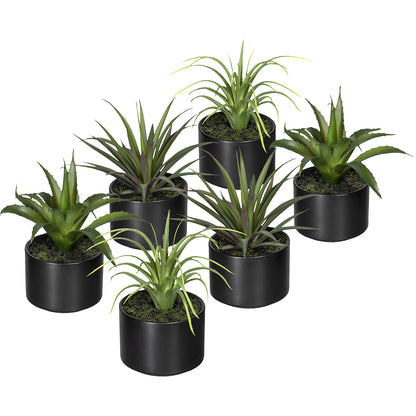 Aloe, agave, tillandsia, in a ceramic pot, pack of 6, height 250 mm, 3 different assortments.