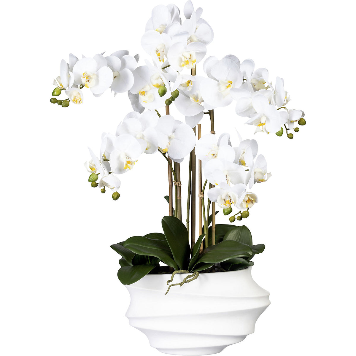 Phalaenopsis, real touch, height 750 mm, white, white plastic vase.