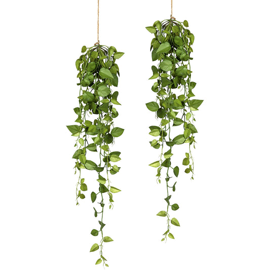 Trailing philodendron, set of 2, length 950 mm.
