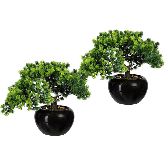 Bonsai larch, container Ø 150 mm, pack of 2, height 260 mm.