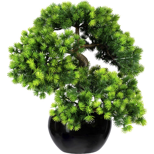 Bonsai larch, with gravel, in a ceramic pot, black, height 370 mm, pot 150 x 90 mm.