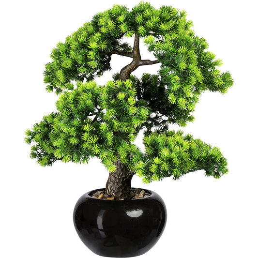 Bonsai larch, with gravel, in a ceramic pot, black, height 480 mm, pot 180 x 110 mm.