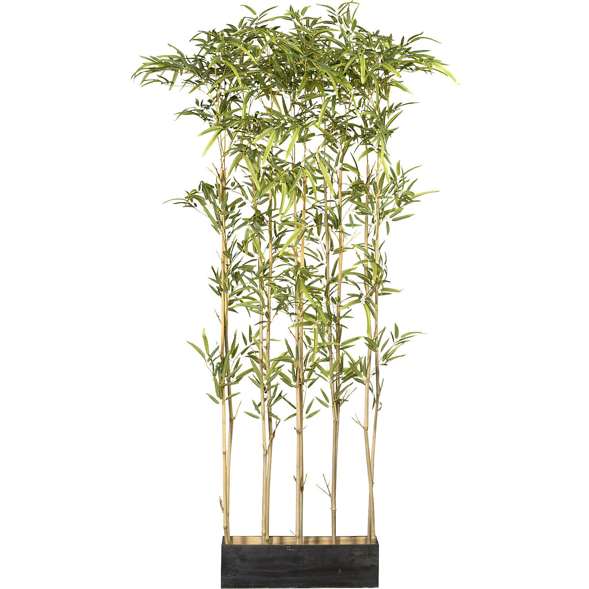 Bamboo partition, in a wooden box, UV resistant, height 1600 mm.