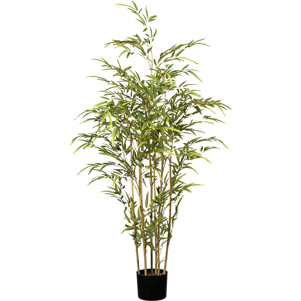 Bamboo, UV resistant, height 1300 mm, natural trunk, pot 150 x 125 mm.