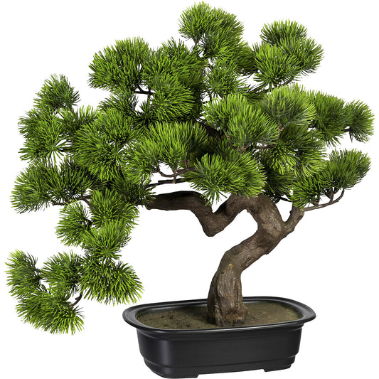 Bonsai pine, in a plastic bowl, height 400 mm, bowl 220 x 150 x 60 mm.