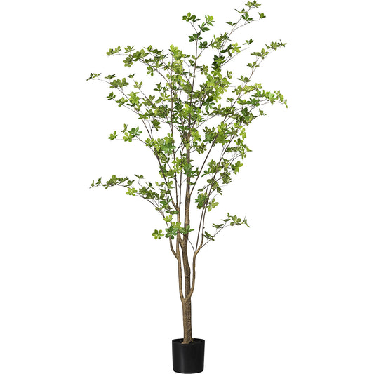 Louisiana tree, in a plastic pot, with PU stalk, height 1800 mm.