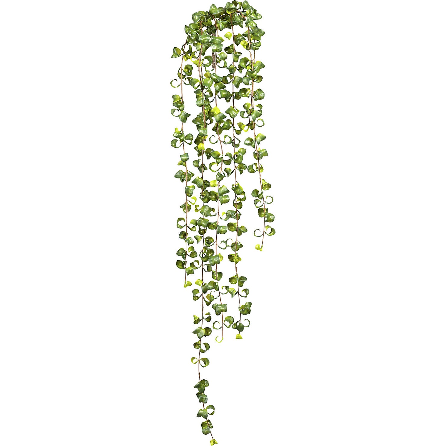 Hanging Ficus Baroque leaves, pack of 3, length 1000 mm.