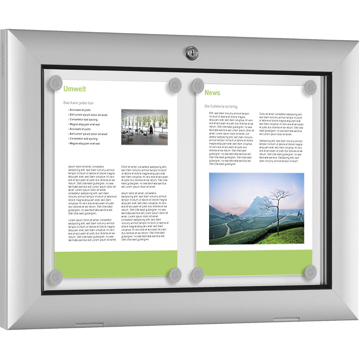 Display case for indoor and outdoor use, door opens downwards 180°, for A3, rear panel pure white RAL 9010.