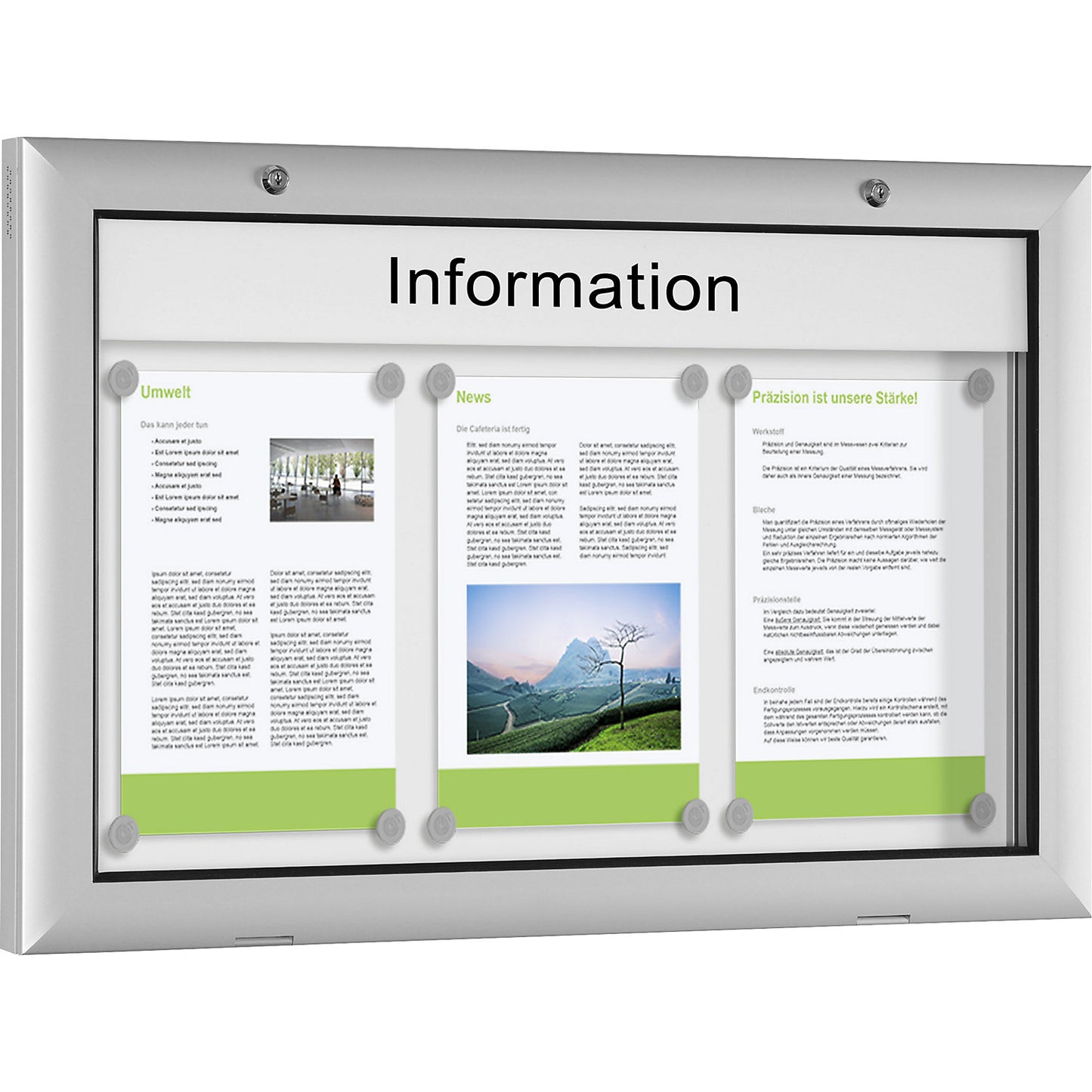 Display case for indoor and outdoor use, door opens downwards 180°, for A2, rear panel pure white RAL 9010.