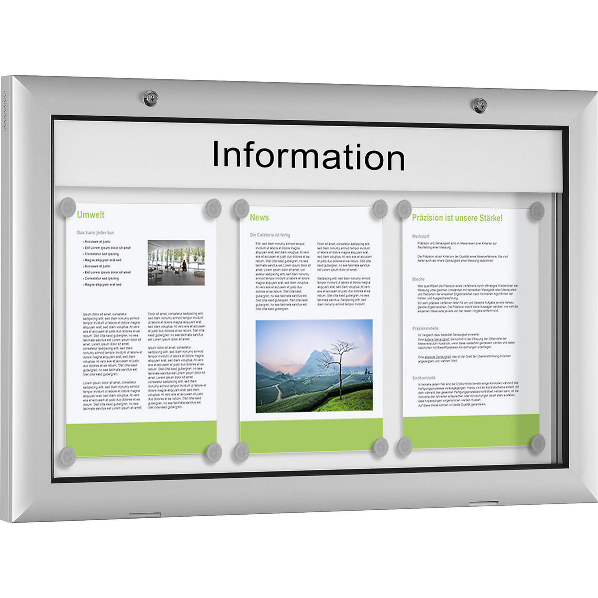 Display case for indoor and outdoor use, door opens downwards 180°, for A2, rear panel pure white RAL 9010.
