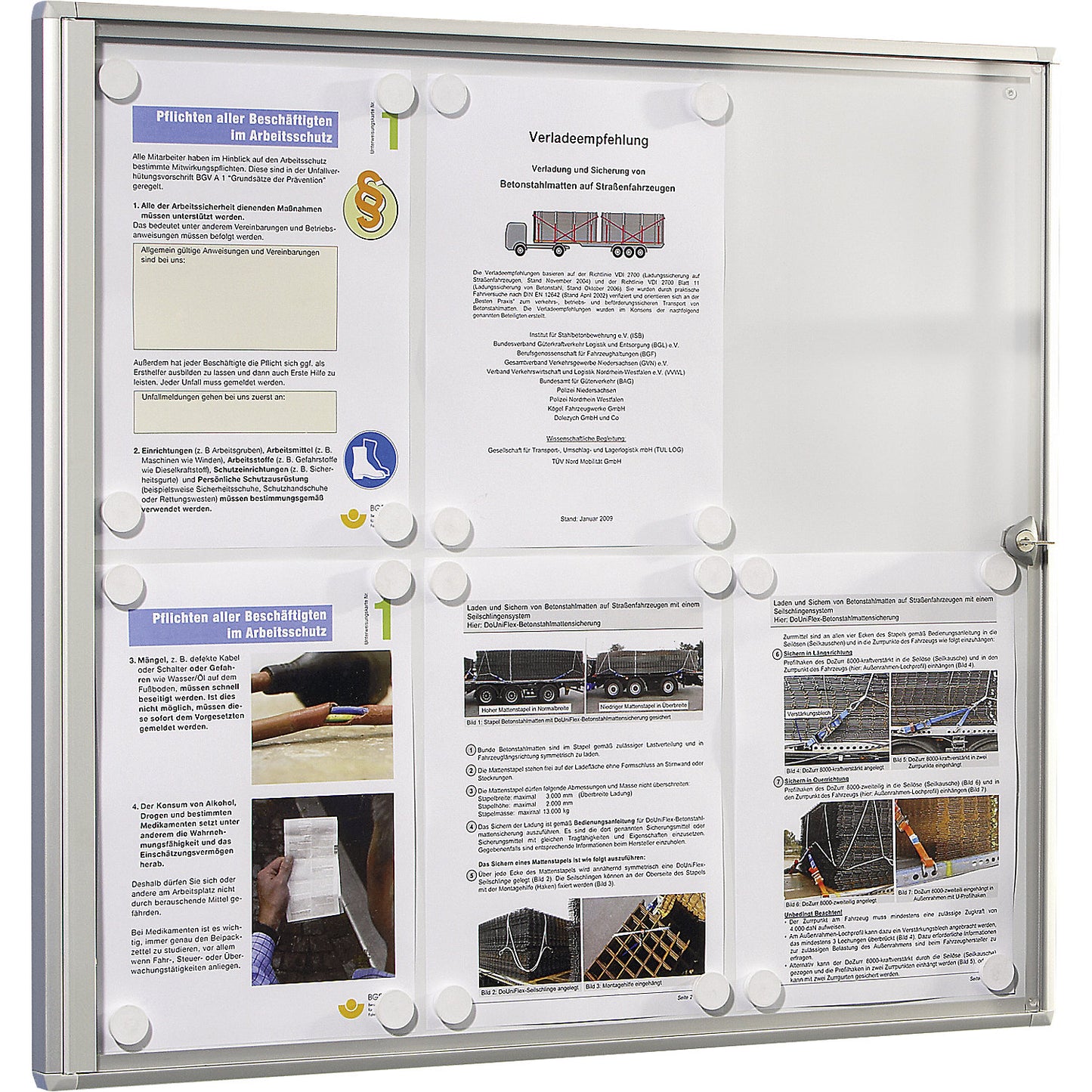 Display case for indoor use, metal rear panel, 4 x A4 sheets, HxW 655 x 491 mm.