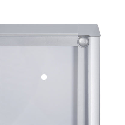 Display case for indoor use, metal rear panel, 4 x A4 sheets, HxW 655 x 491 mm.