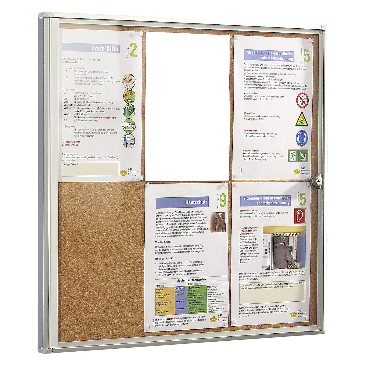 Display case for indoor use, cork rear panel, 12 x A4 sheets, HxW 963 x 931 mm.