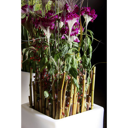 Plant container, TREVIA V, HxWxD 700 x 360 x 360 mm, white.