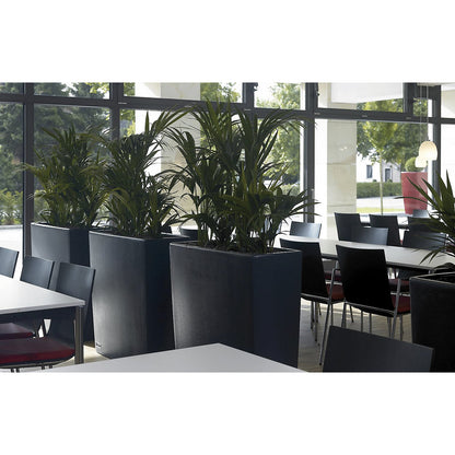 Plant container, TREVIA 900K, HxWxD 900 x 900 x 390 mm, charcoal.