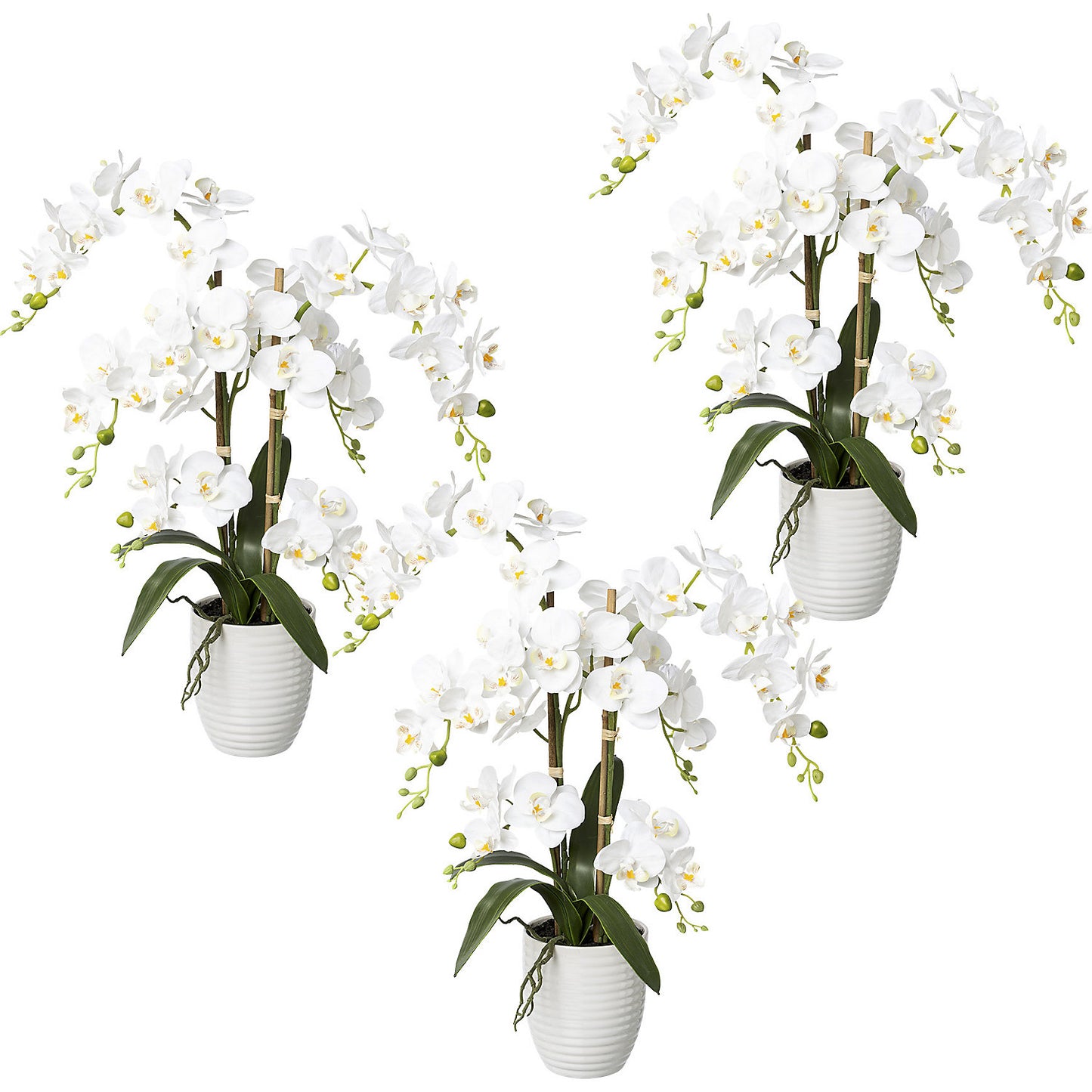 Phalaenopsis, real touch, height 670 mm, pack of 3, ceramic pot, white.