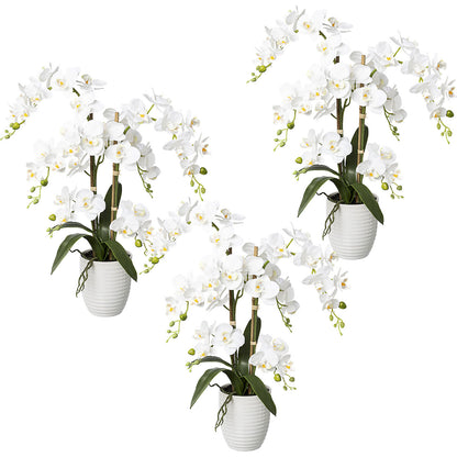 Phalaenopsis, real touch, height 670 mm, pack of 3, ceramic pot, white.