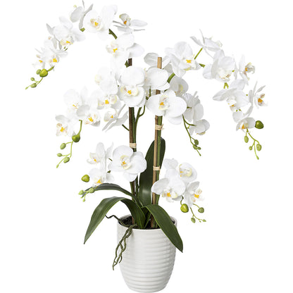 Phalaenopsis, real touch, height 670 mm, pack of 3, ceramic pot, white.