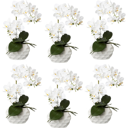 Phalaenopsis, real touch, height 330 mm, pack of 6, ceramic pot, white.