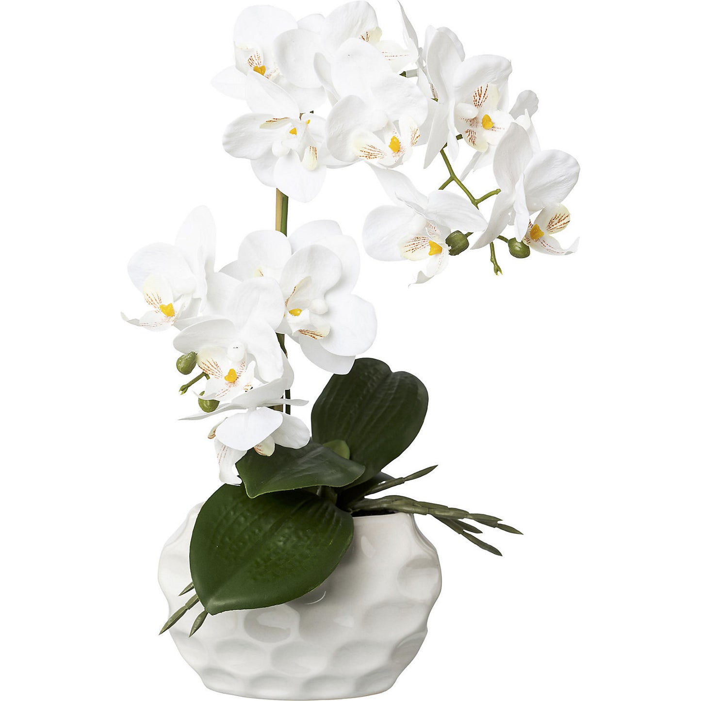 Phalaenopsis, real touch, height 330 mm, pack of 6, ceramic pot, white.