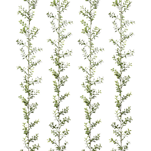 Boxwood garland, pack of 4, length 1800 mm, green.