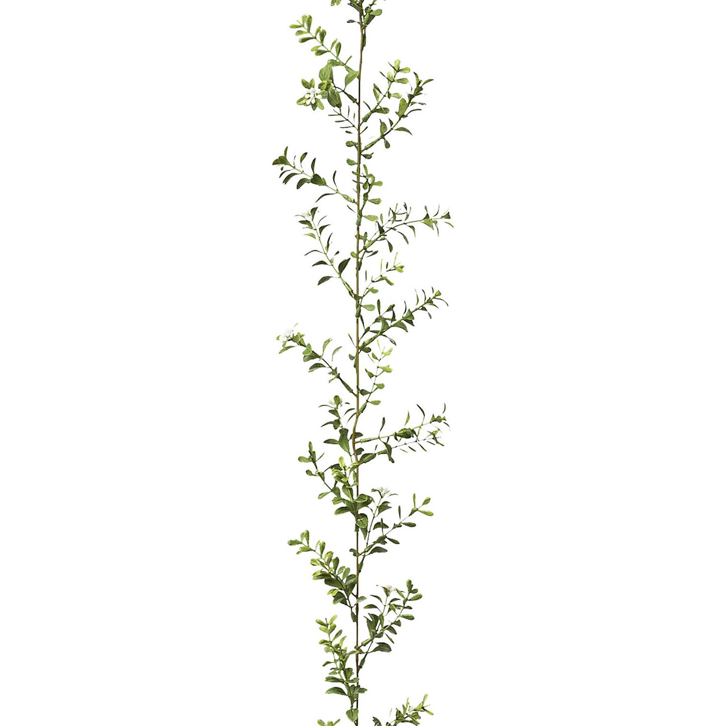 Boxwood garland, pack of 4, length 1800 mm, green.