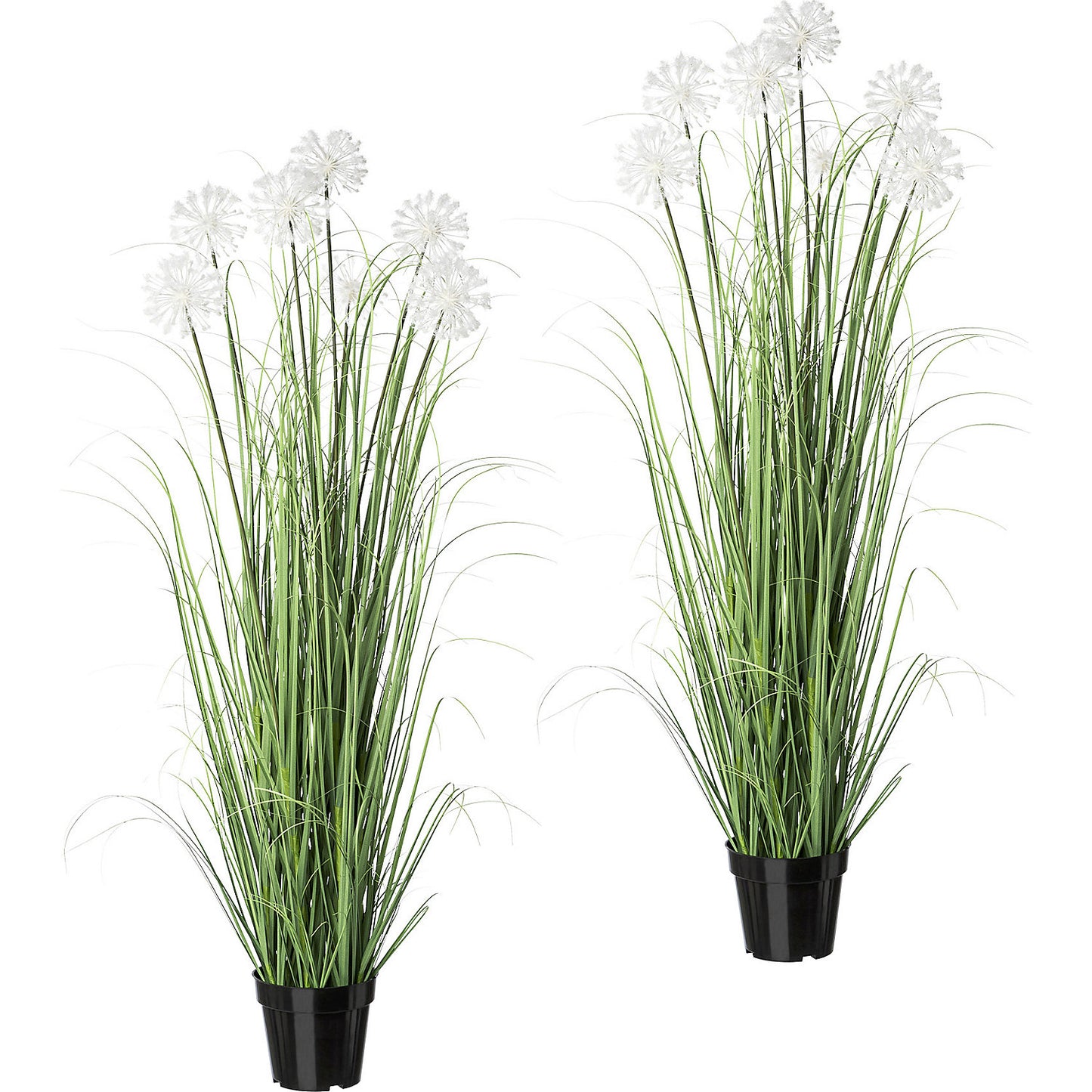 Grass bush with dandelions, pack of 2 in a pot, height 1280 mm.