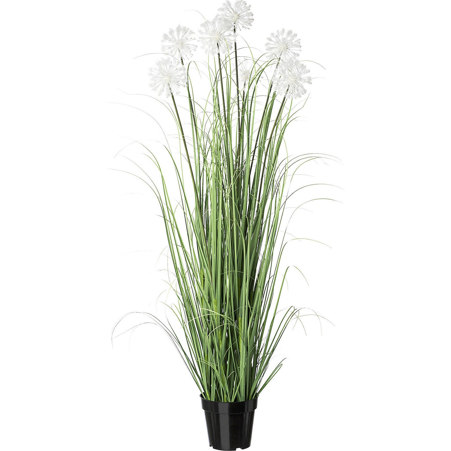 Grass bush with dandelions, pack of 2 in a pot, height 1280 mm.