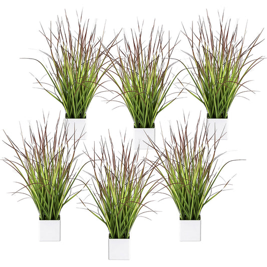 Blood grass in a pot, pack of 6, height 460 mm, green-red.