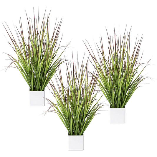 Blood grass in a pot, pack of 3, height 610 mm, green-red.