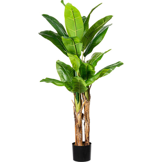 Banana plant, in a plastic pot with earth, height approx. 1500 mm.