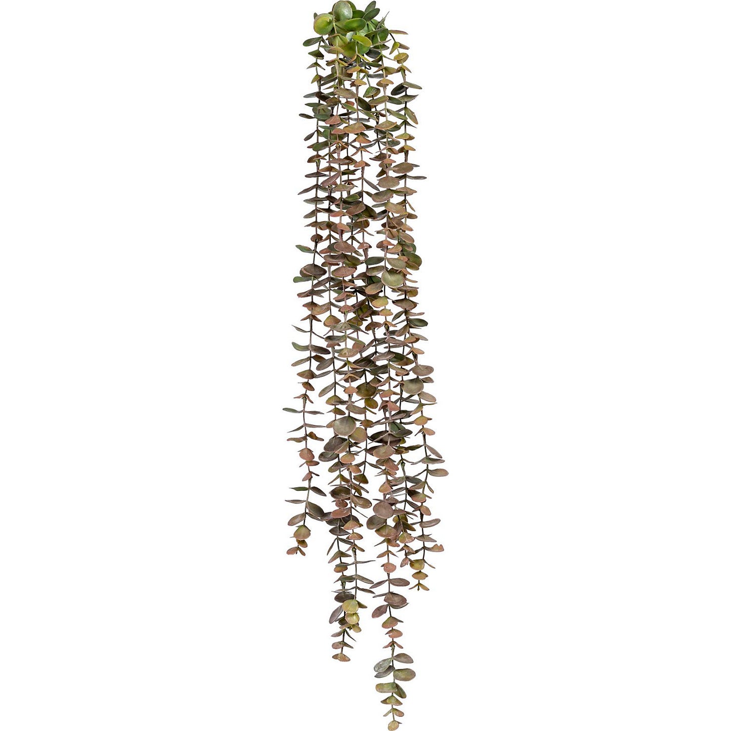 Hanging eucalyptus, pack of 6, green-pink, length approx. 800 mm.