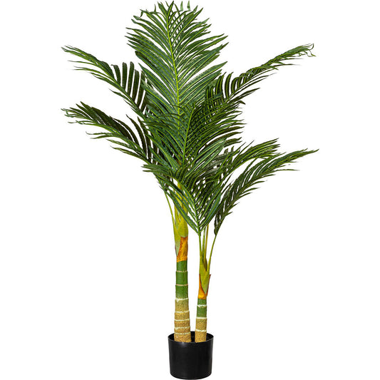 Areca palm, in a plastic pot with earth, height approx. 1200 mm.
