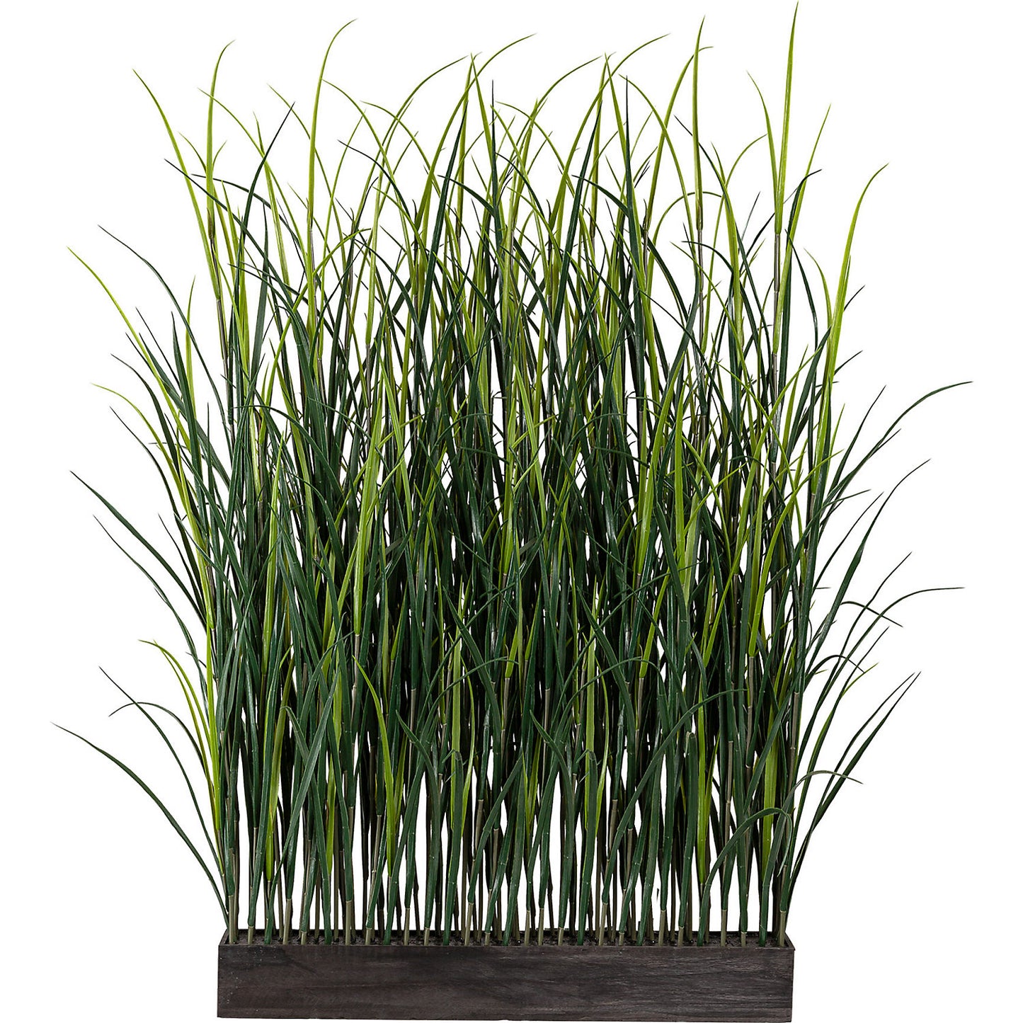 Plastic grass room divider, in a wooden box, WxD 900 x 100 mm, height approx. 1500 mm.