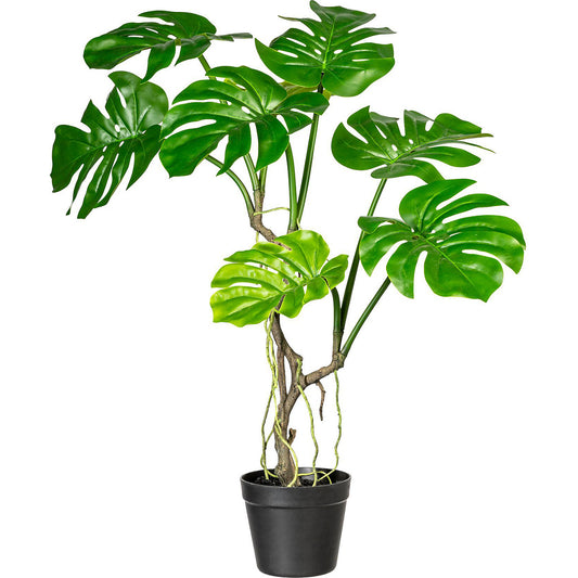 Swiss cheese plant, height approx. 750 mm, in a plastic pot with earth.